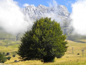 Sipario (Gran Sasso) Sipario