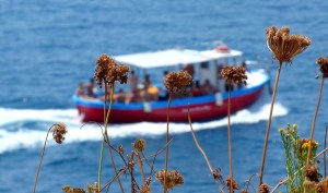 A presto (Marina di Camerota) A presto (Marina di Camerota)